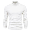 pull col roulé homme beige