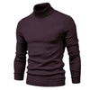 pull col roulé homme chaud